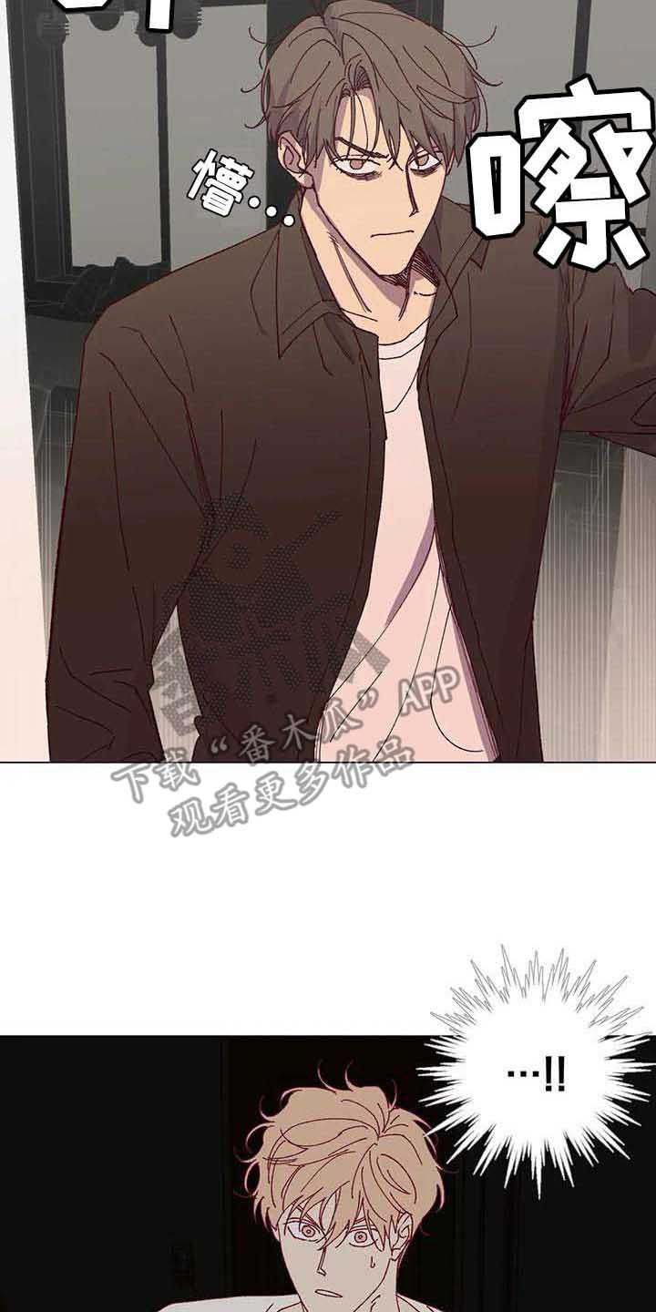 未来的生活漫画,第41章：聊聊看5图