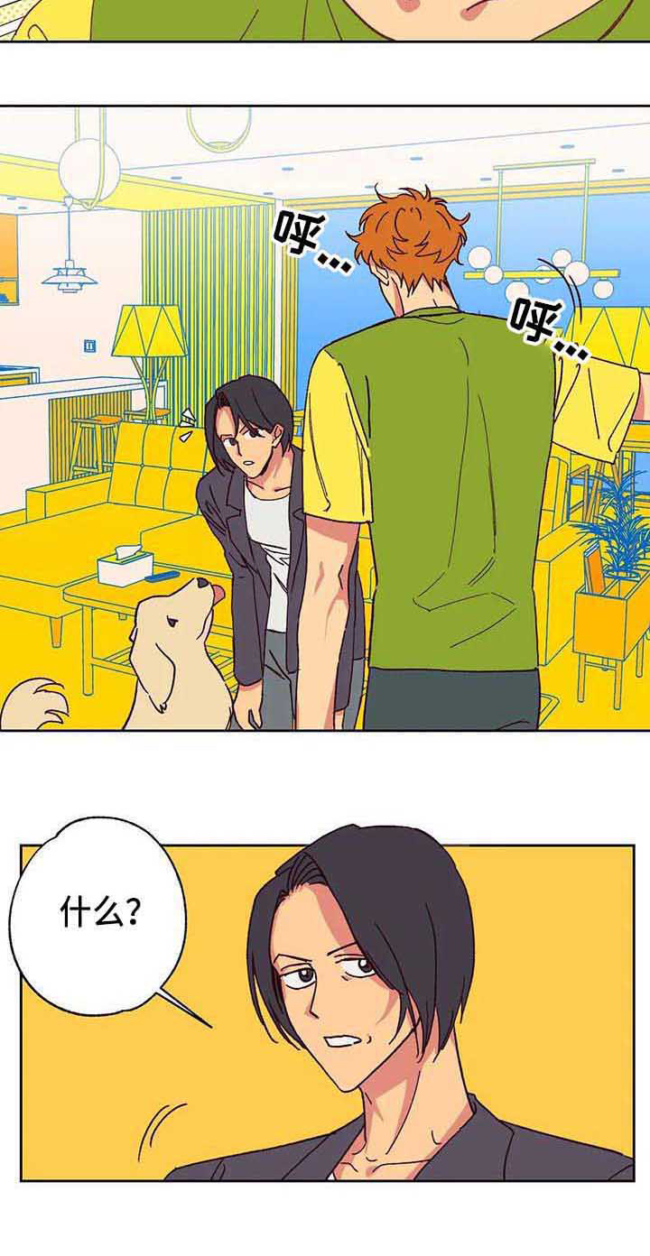 未来的生活漫画,第3章：车祸5图