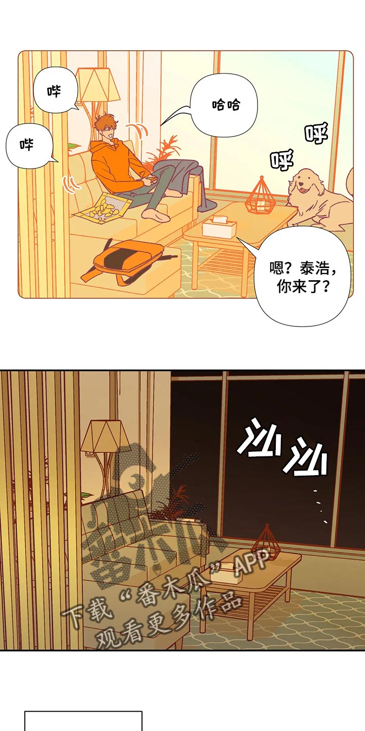 未来的生活漫画,第84章：代价4图