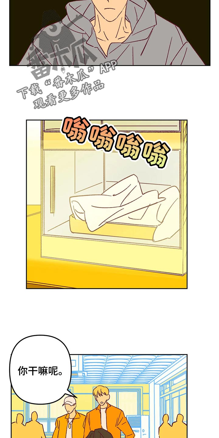 未来的生活漫画,第67章：回家吧1图