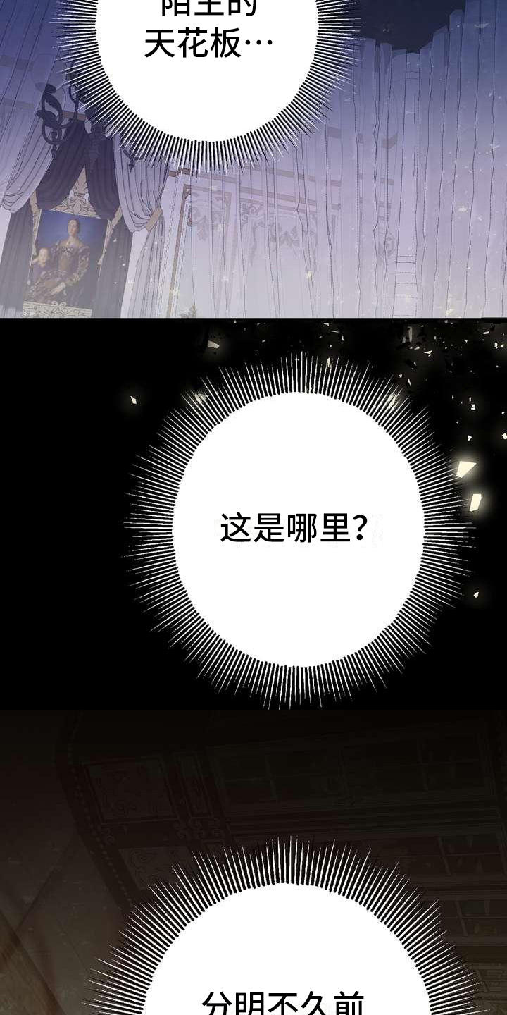 美丽的枫叶壁纸漫画,第2章：不屑一顾3图