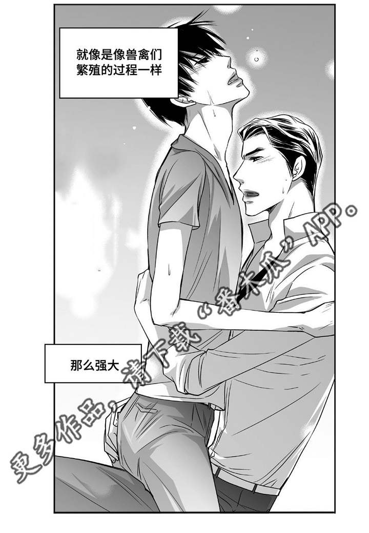 为了你而来漫画,第71章：在交往吗1图