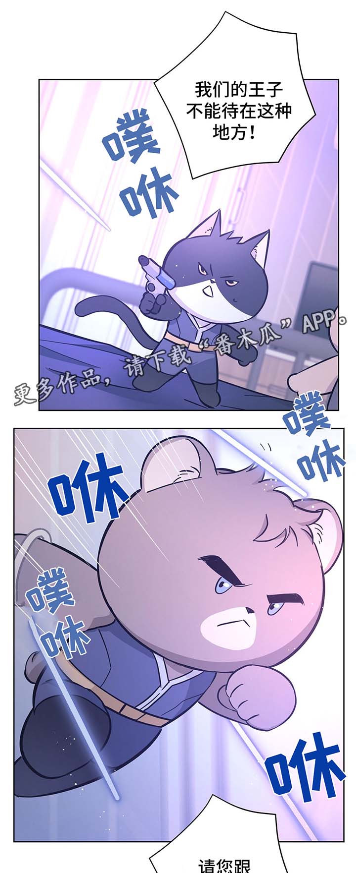 逃婚王子漫画,第31章：结婚5图