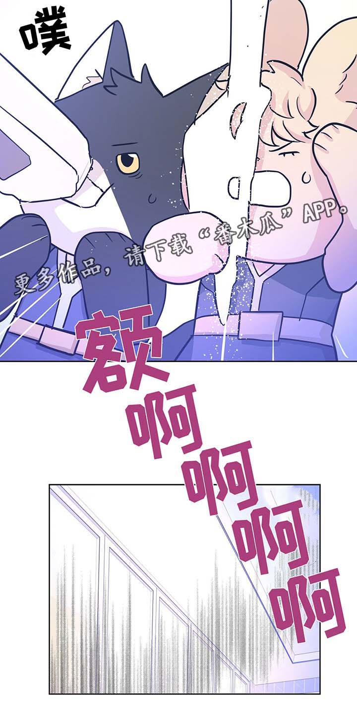 逃婚王子漫画,第32章：不想失去你3图