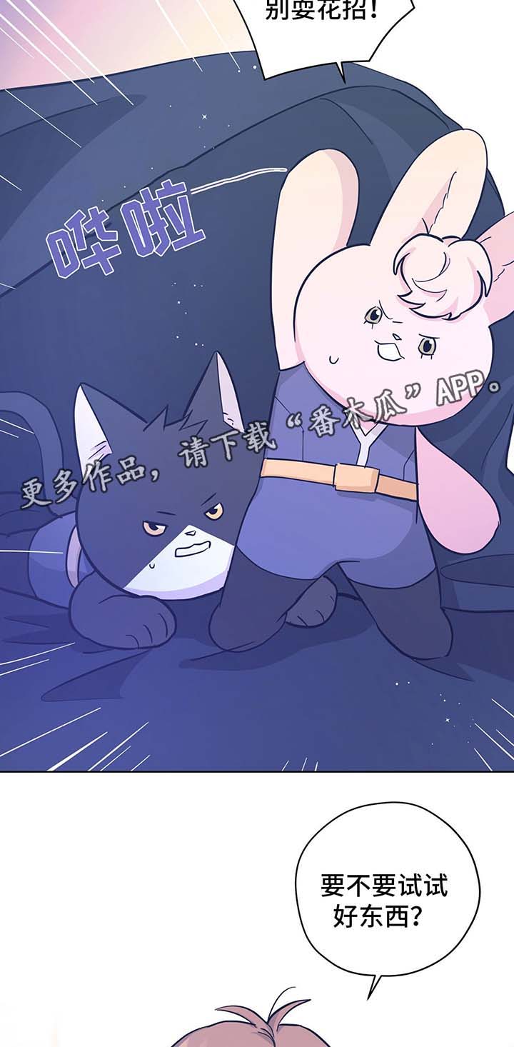 逃婚王子漫画,第32章：不想失去你1图