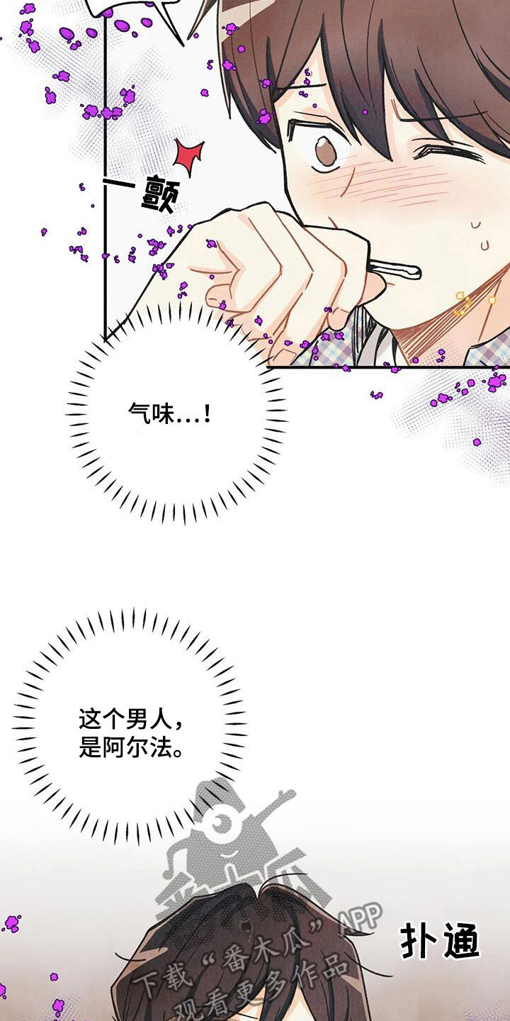 身体刻图案漫画,第163章：【番外】信息素压制3图