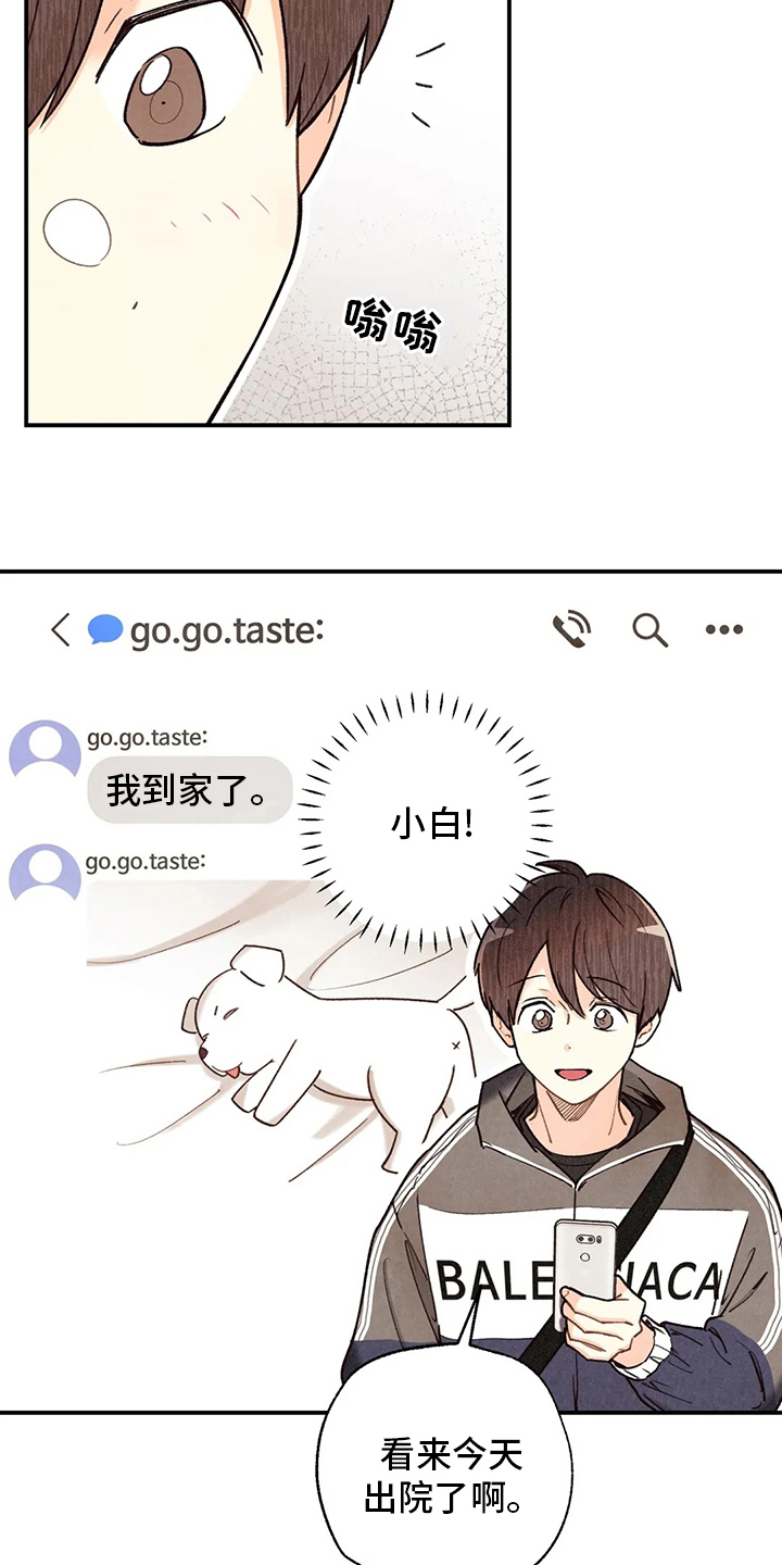 身上红色的小血点像痣漫画,第139章：出去4图