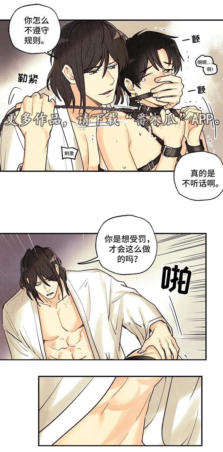 身体刻印68话漫画,第56章：调查1图