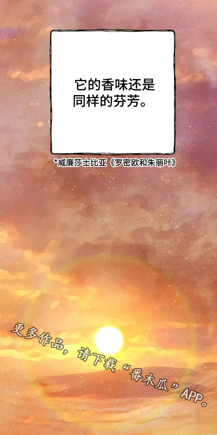 身体印记设定漫画,第155章：许愿（完结）2图