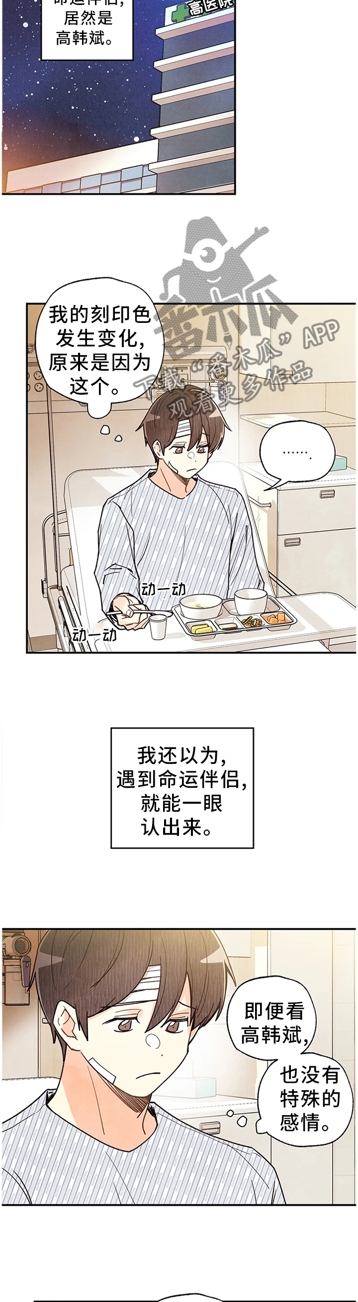 身上出现小红点是怎么回事漫画,第94章：出院4图