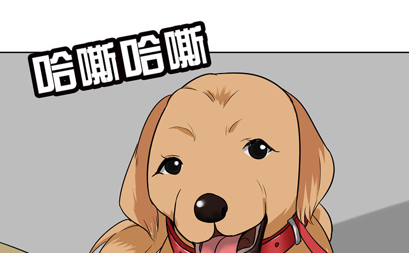 晚上才是女孩子漫画,第44章：对不起，我说谎了。1图