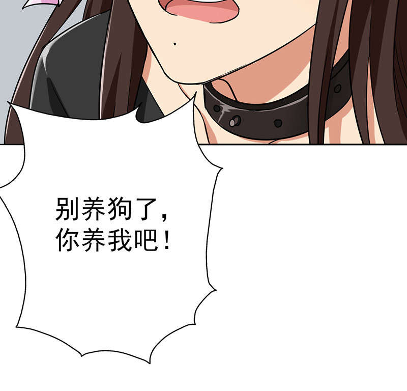 晚上才是女孩子漫画,第37章：别养狗了，养我吧！1图