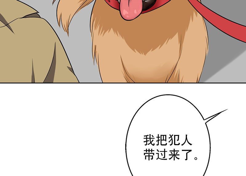 晚上才是女孩子漫画,第44章：对不起，我说谎了。2图
