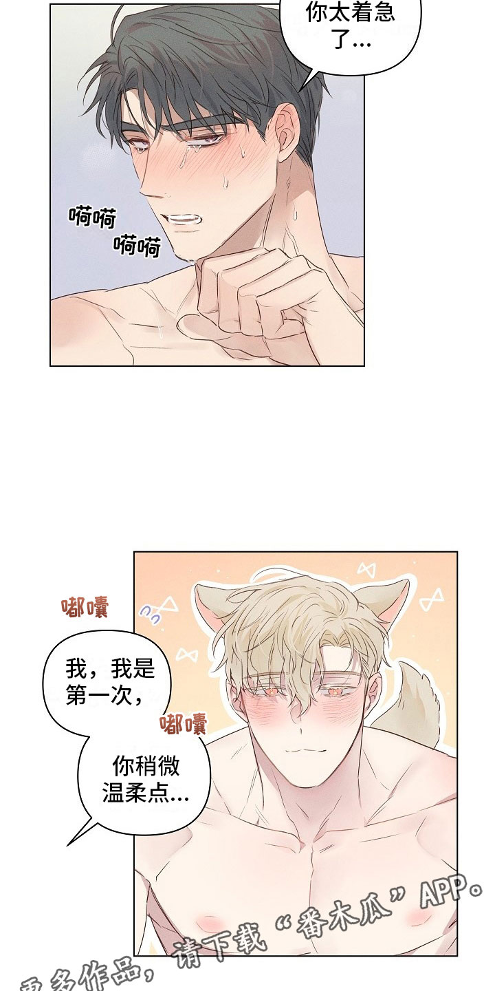 组长的稿子怎么写漫画,第6章：可爱的组长2图
