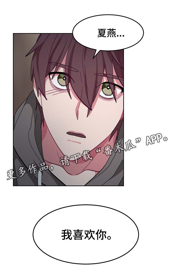 冬天来临动物的变化漫画,第40章：我喜欢你，夏燕2图