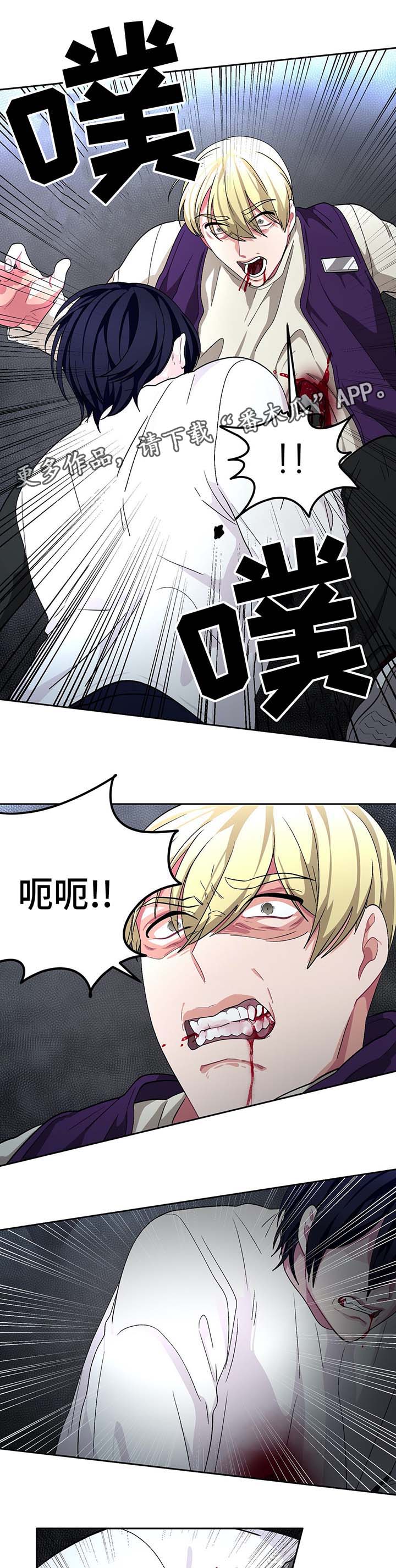 冬天来临漫画,第61章：自相残杀4图