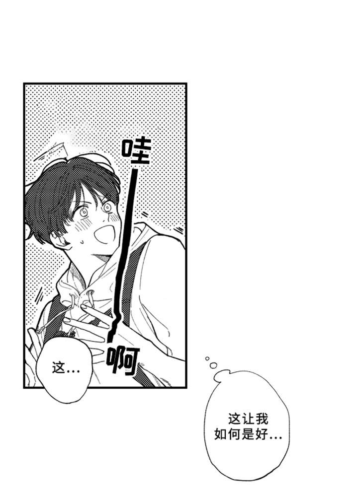 金发漫卷云舒新旧区别漫画,第8章：很好看1图