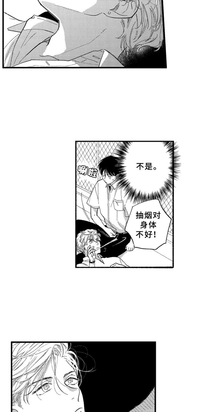 黄金玛利亚容易缀化吗漫画,第4章：膝枕2图