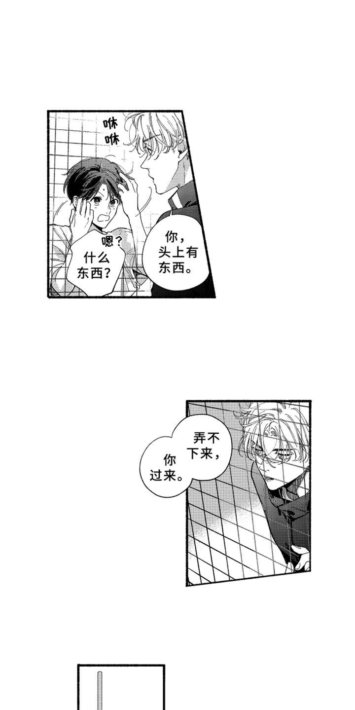 金发玛利亚漫画,第12章：笑了1图