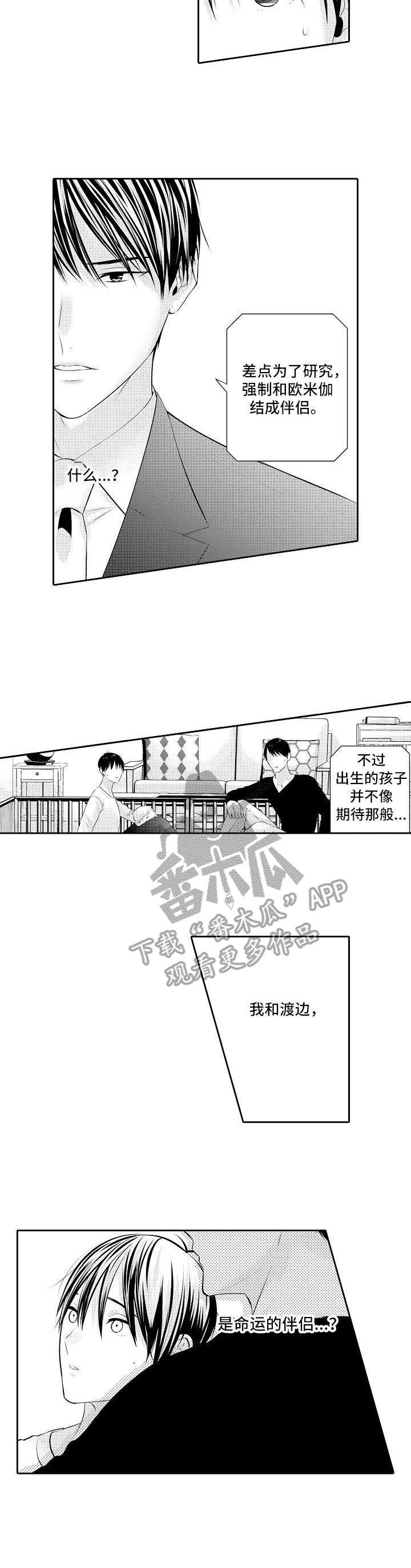 金三角特区中缅友谊街漫画,第20章：重逢2图