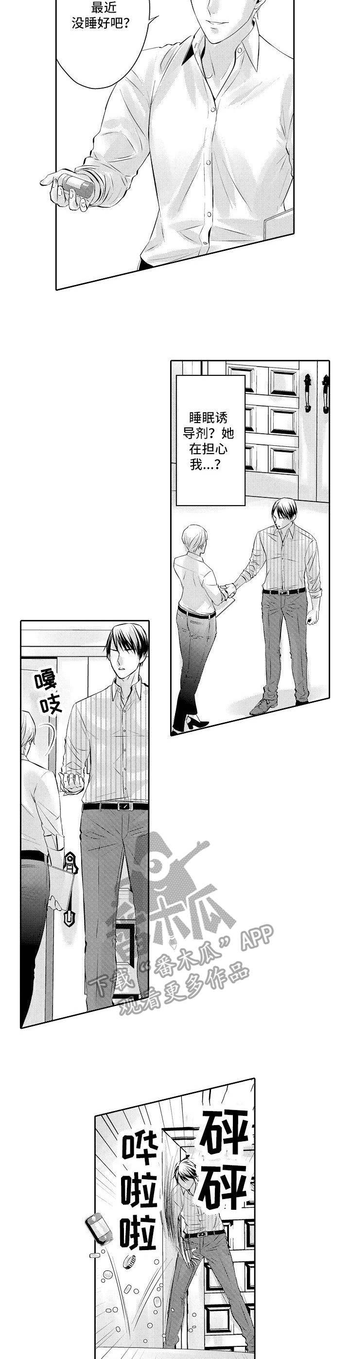 金三角特区唐人街友谊饭庄漫画,第17章：到时候了4图