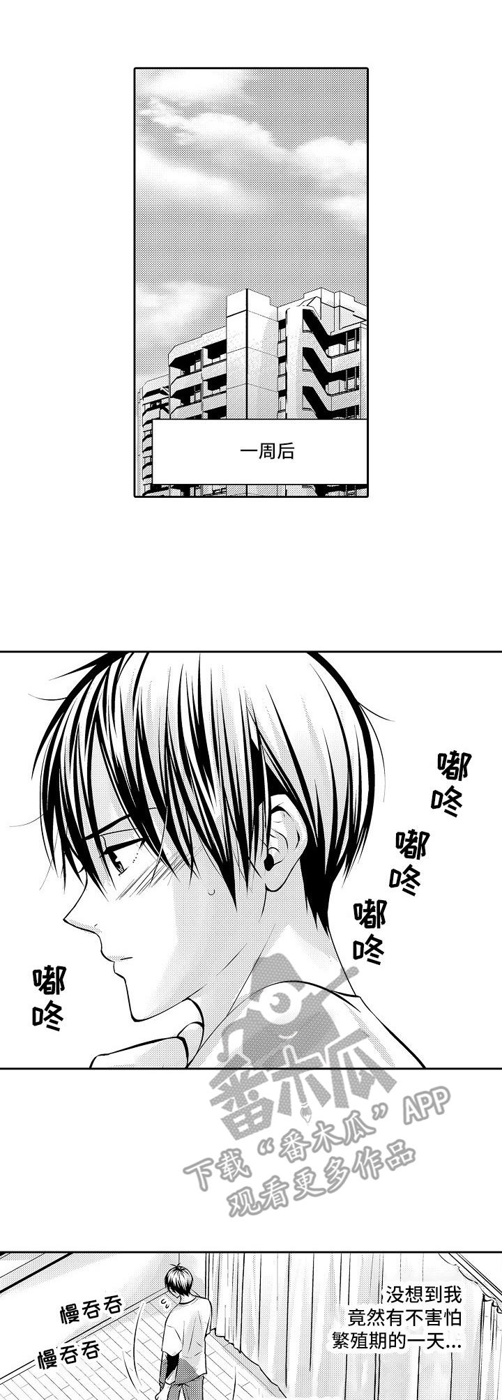 金三角贩毒枪战片电影漫画,第12章：期待4图