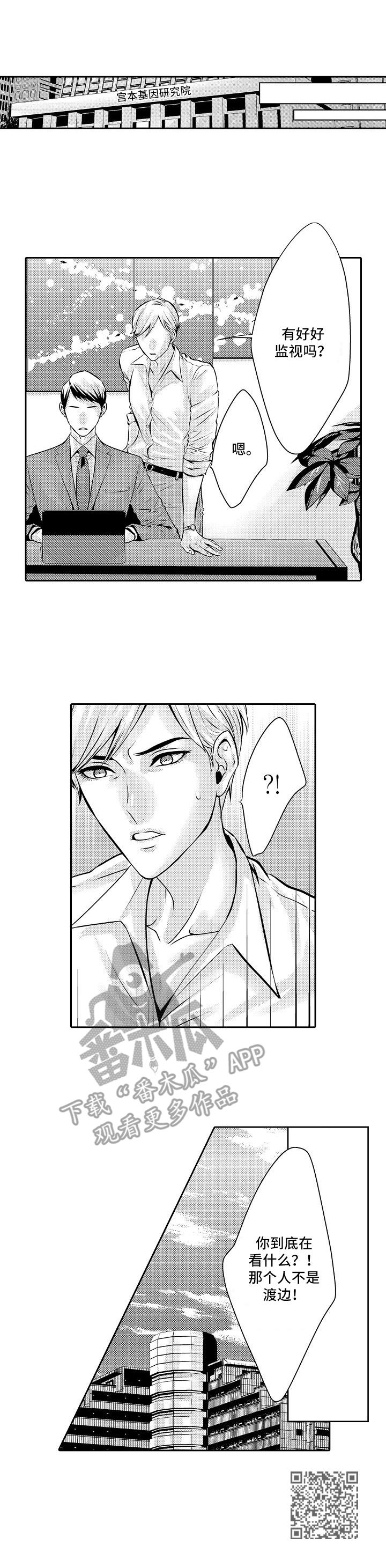 金三角毒枭电影全部漫画,第8章：回不去了5图