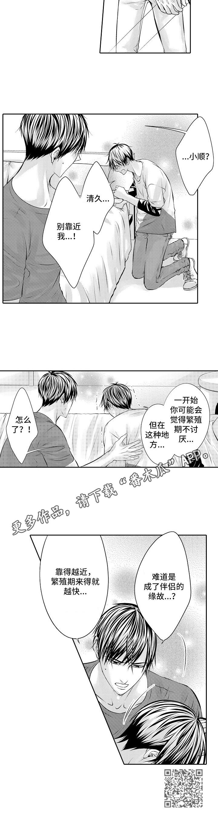 金三角毒枭电影全部漫画,第12章：期待4图