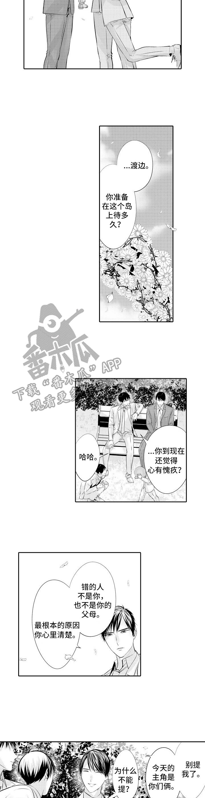 金三角特区中缅友谊街漫画,第21章：婚礼4图