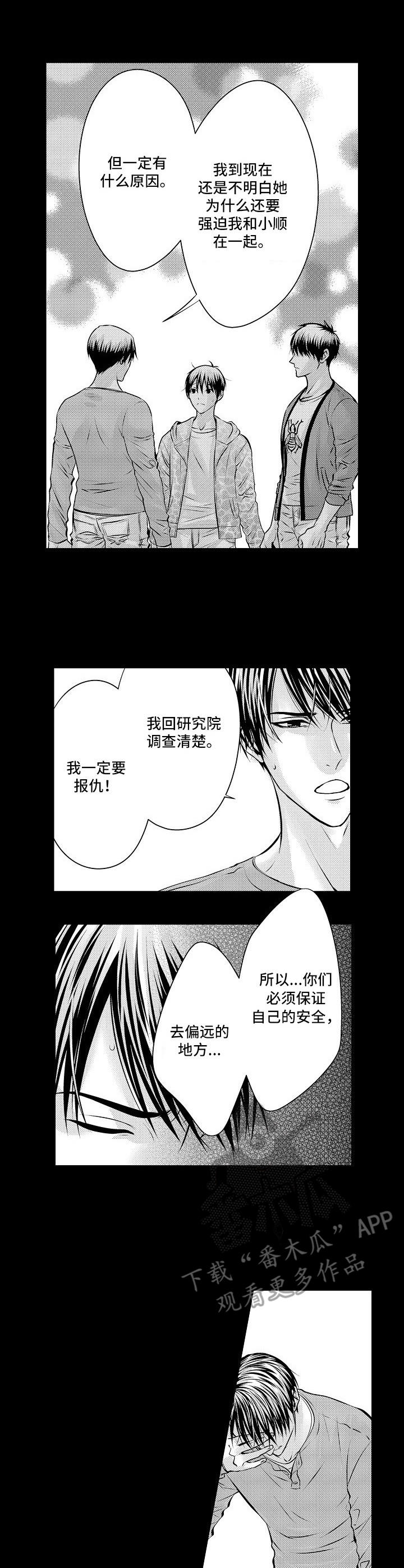 金三角毒枭电影全部漫画,第9章：远走高飞4图