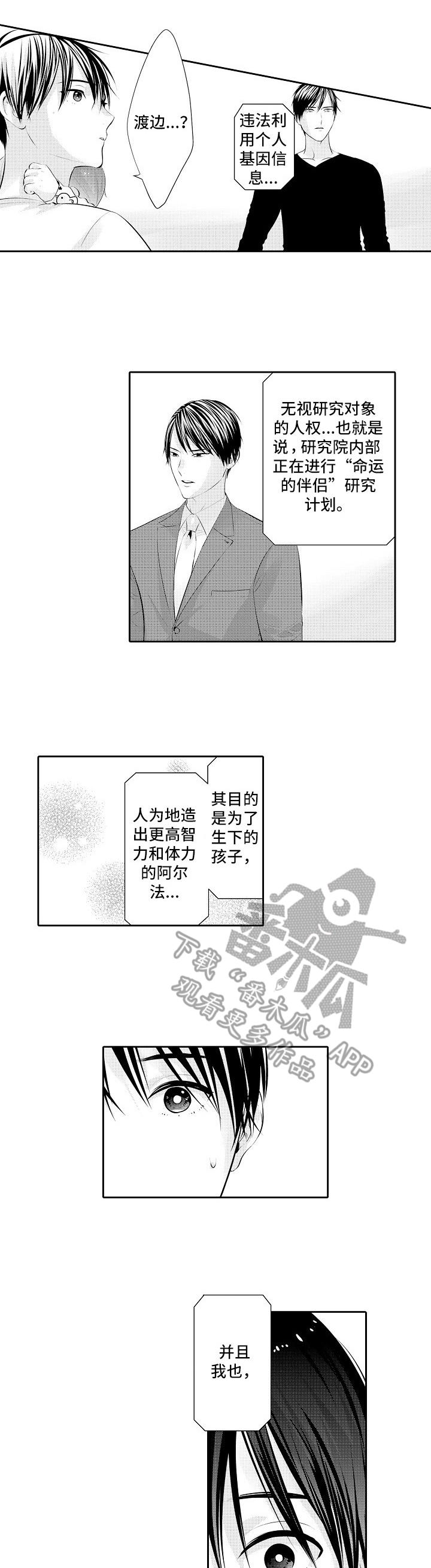 金三角特区中缅友谊街漫画,第20章：重逢1图
