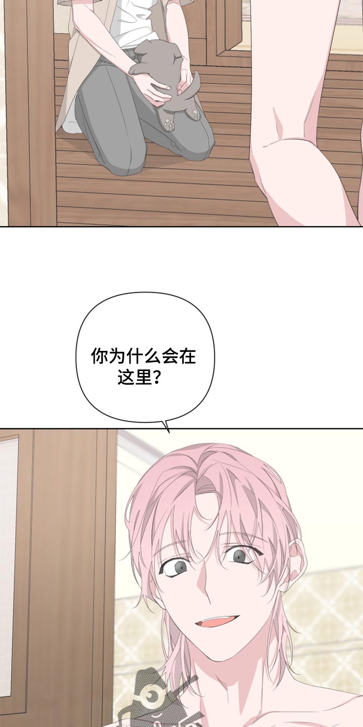 Bedeuro漫画,第76章：【第二季】四条腿的金英才4图