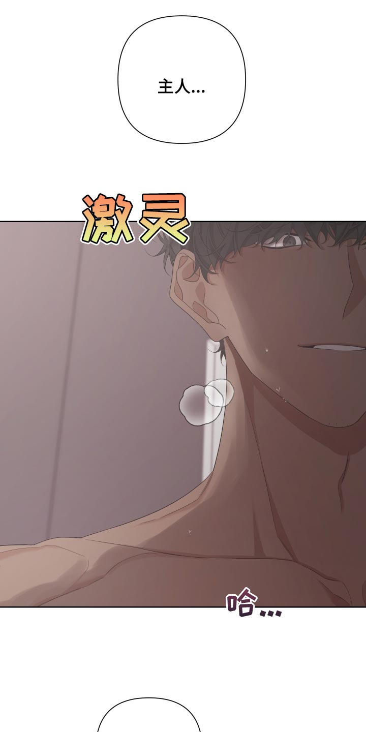 Bedeuro漫画,第122章：【第二季】疯狂的狗狗2图