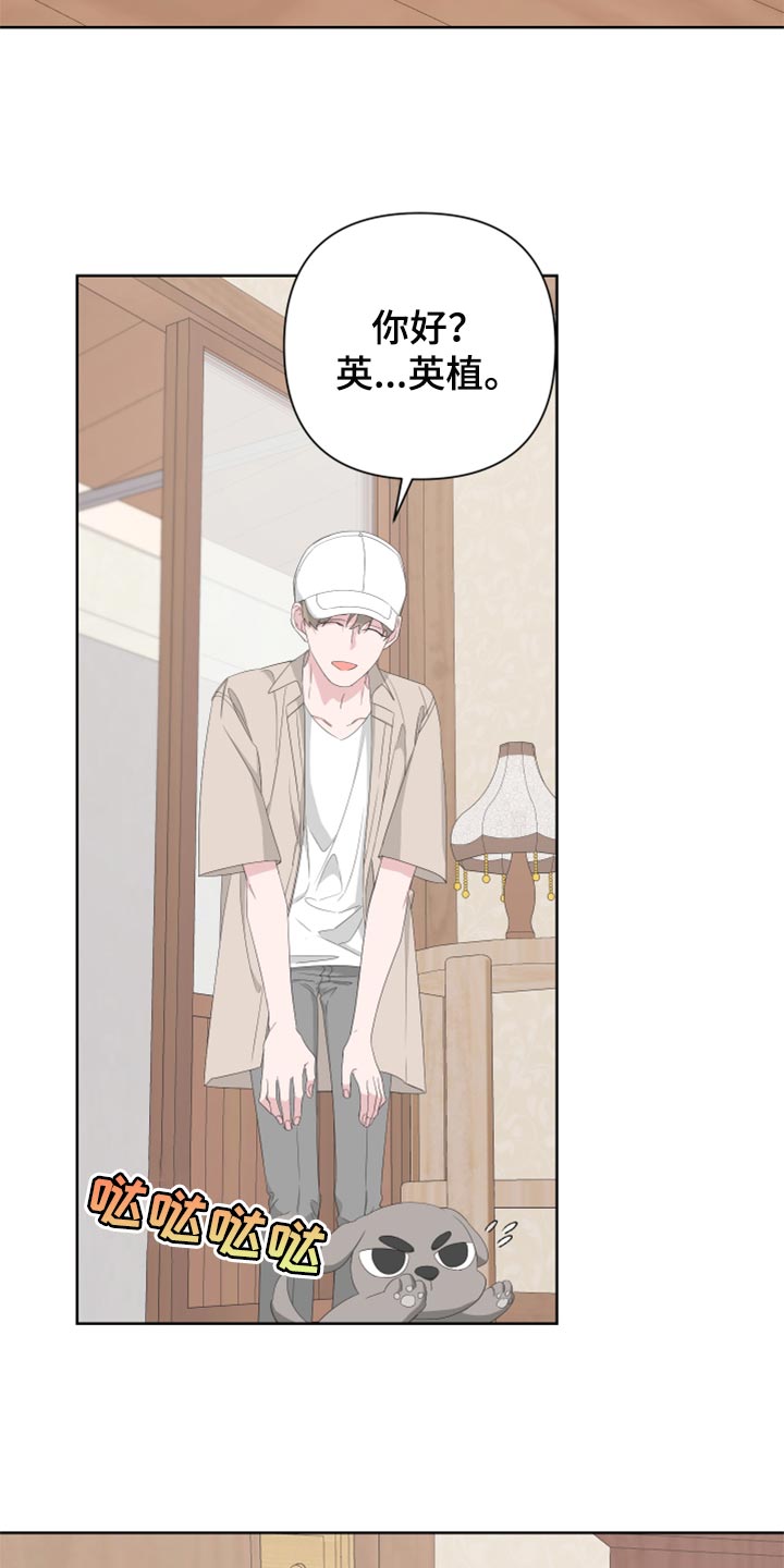 Bedeuro漫画,第76章：【第二季】四条腿的金英才5图