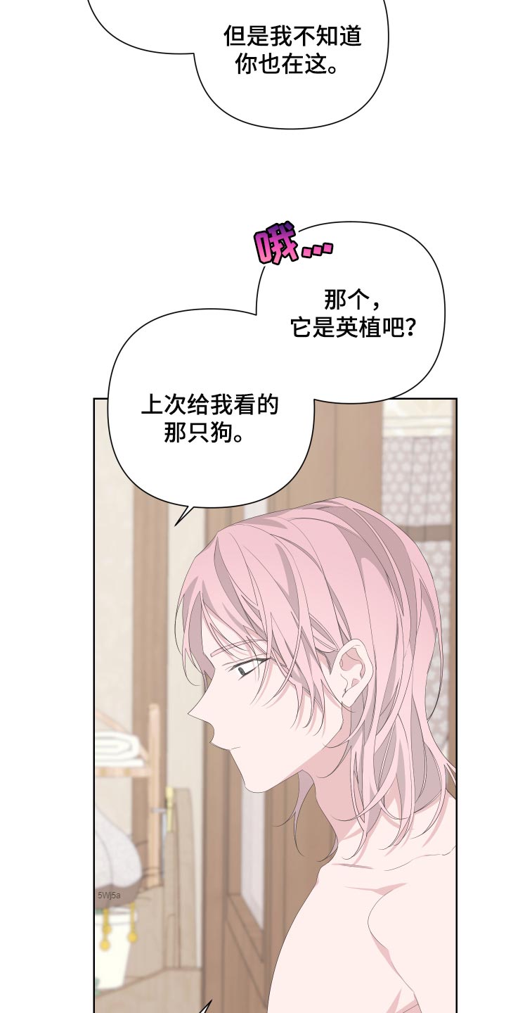 Bedeuro漫画,第77章：【第二季】是朋友3图