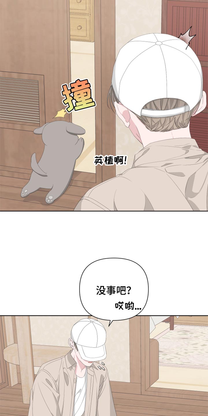 Bedeuro漫画,第76章：【第二季】四条腿的金英才1图