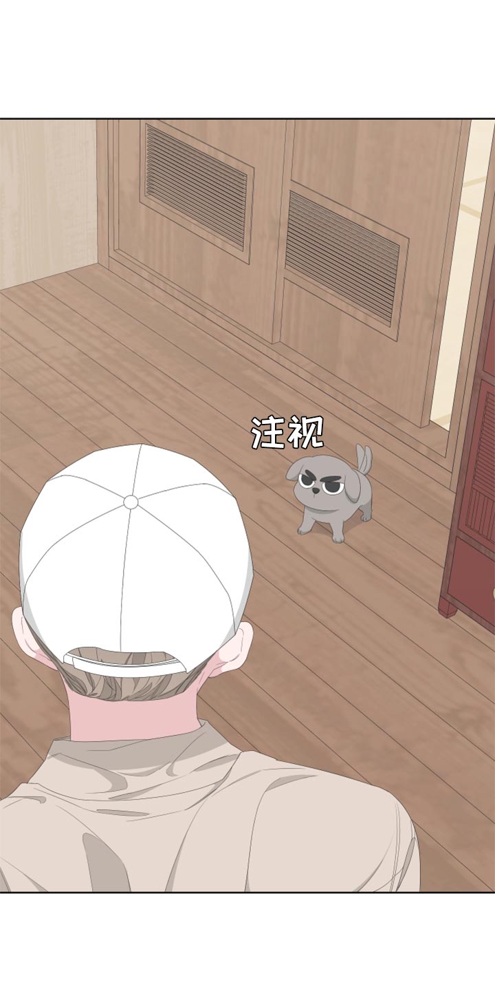 Bedeuro漫画,第76章：【第二季】四条腿的金英才3图