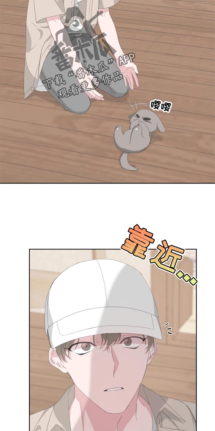 Bedeuro漫画,第76章：【第二季】四条腿的金英才2图