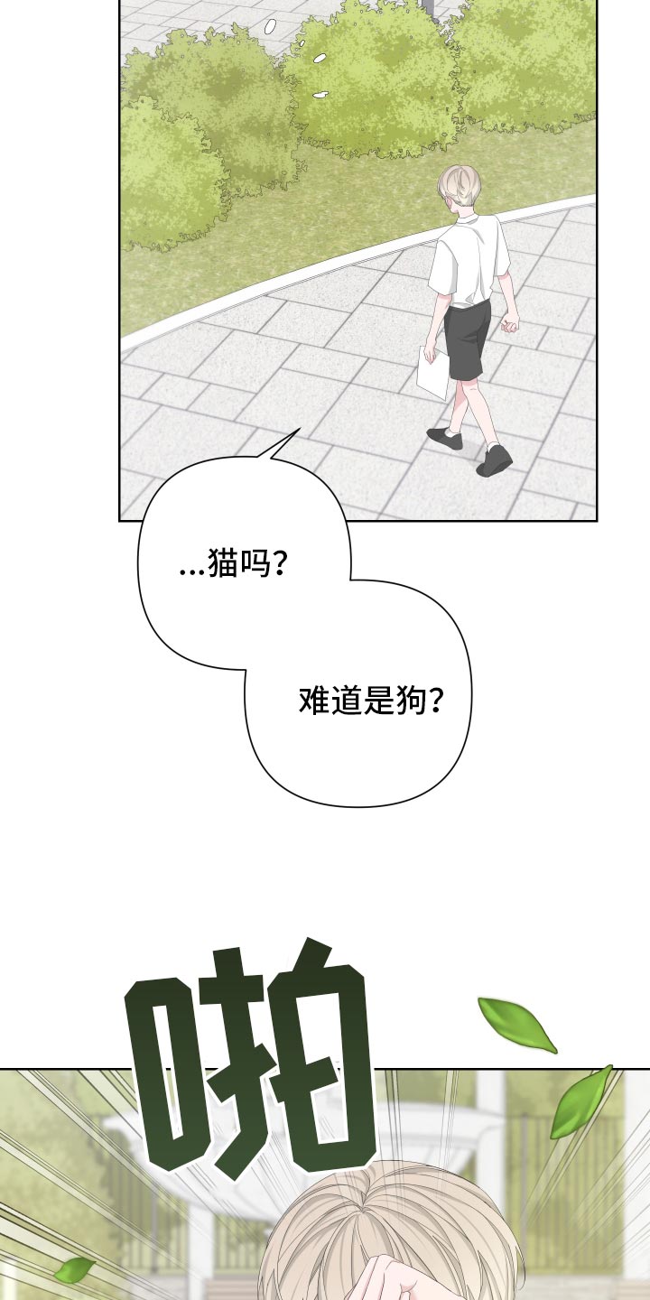 Bedeuro漫画,第125章：【第二季】旅行者3图