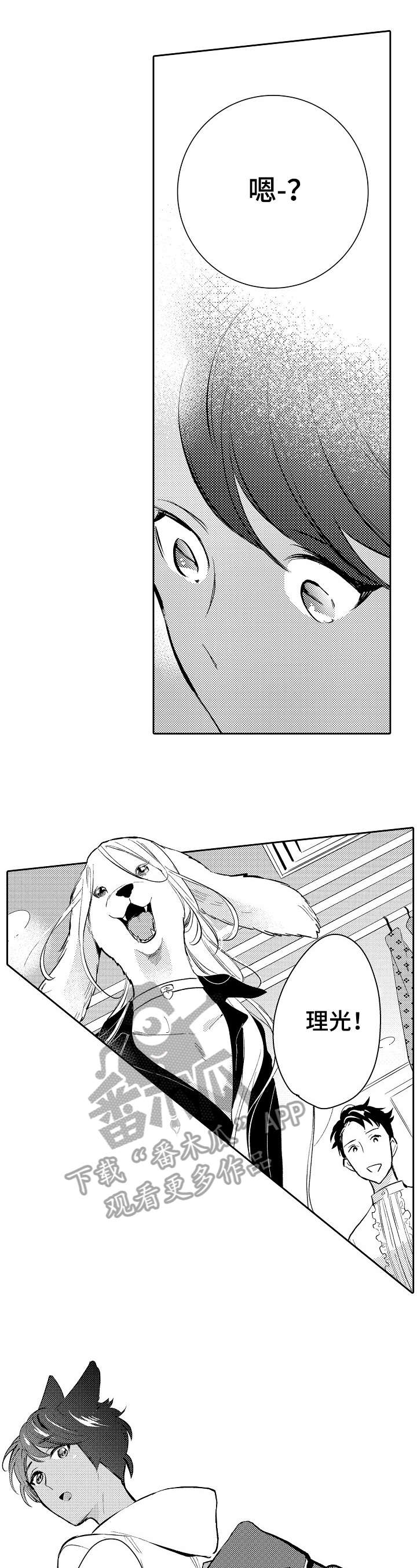 他带来了光漫画,第23章：链子5图