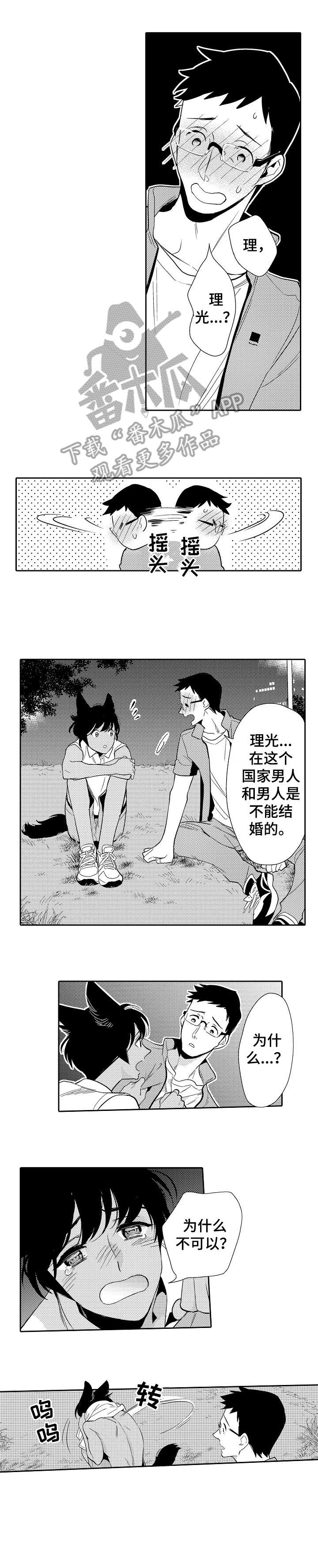 他带来了光漫画,第18章：冲突5图