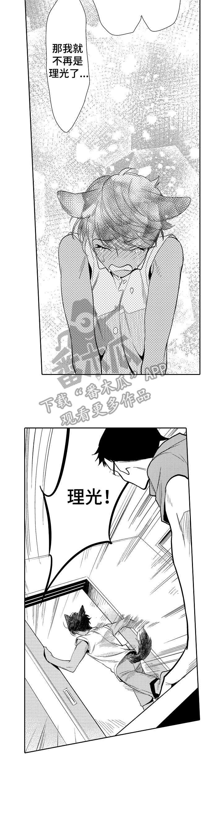 他带来了光漫画,第17章：不需要5图