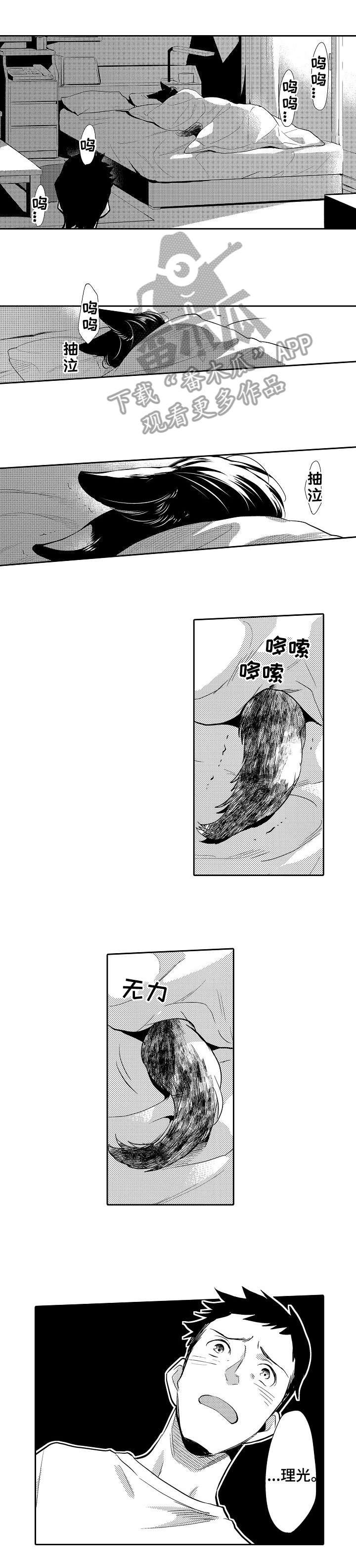 他带来了光漫画,第19章：竟然4图