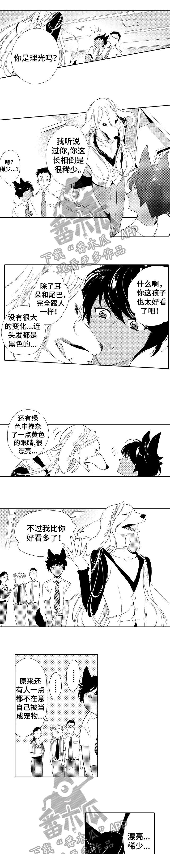 他带来了光漫画,第13章：看穿3图