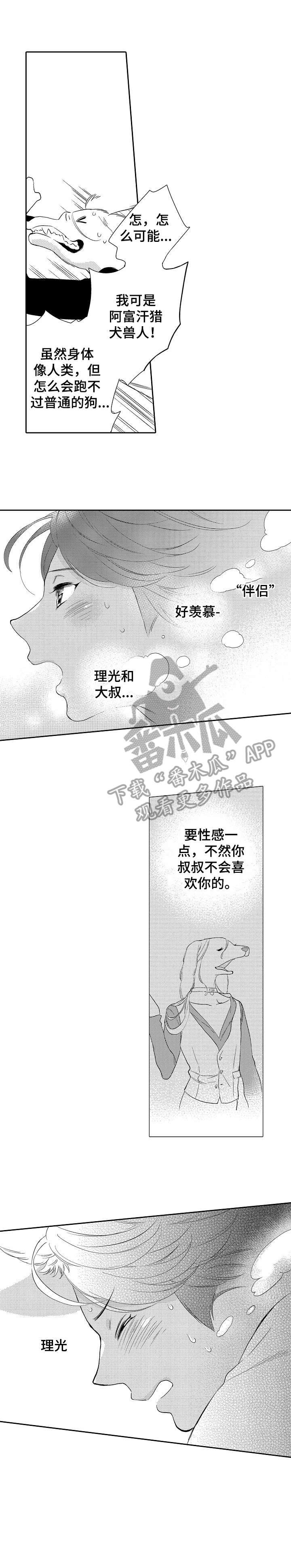他带来了光漫画,第15章：追4图