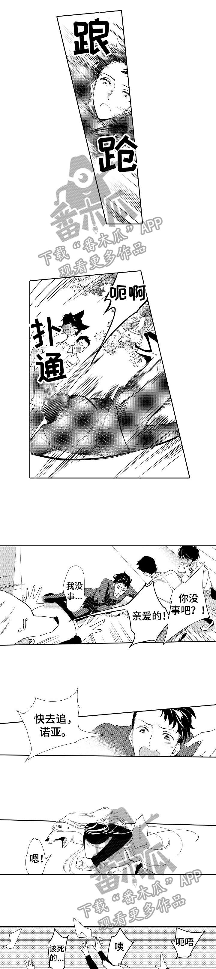 他带来了光漫画,第15章：追1图