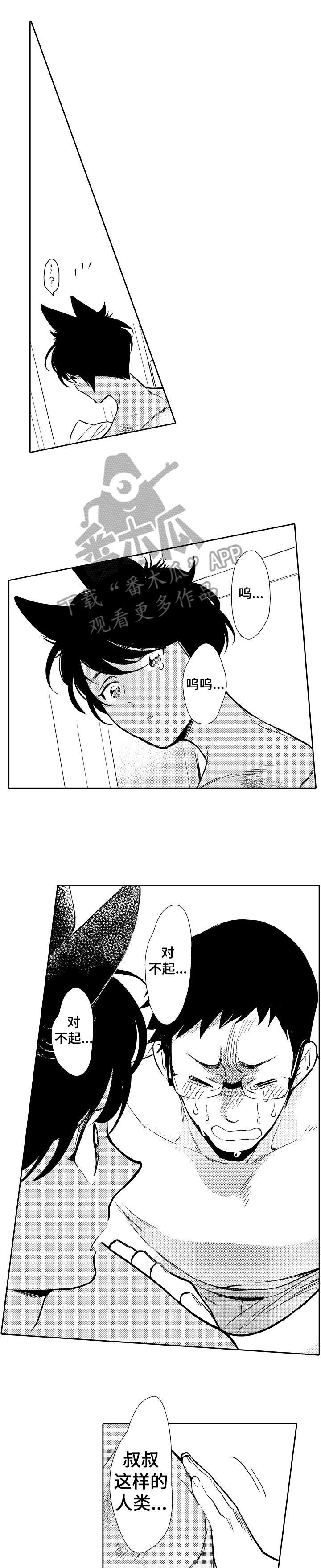 他带来了光漫画,第3章：心疼3图