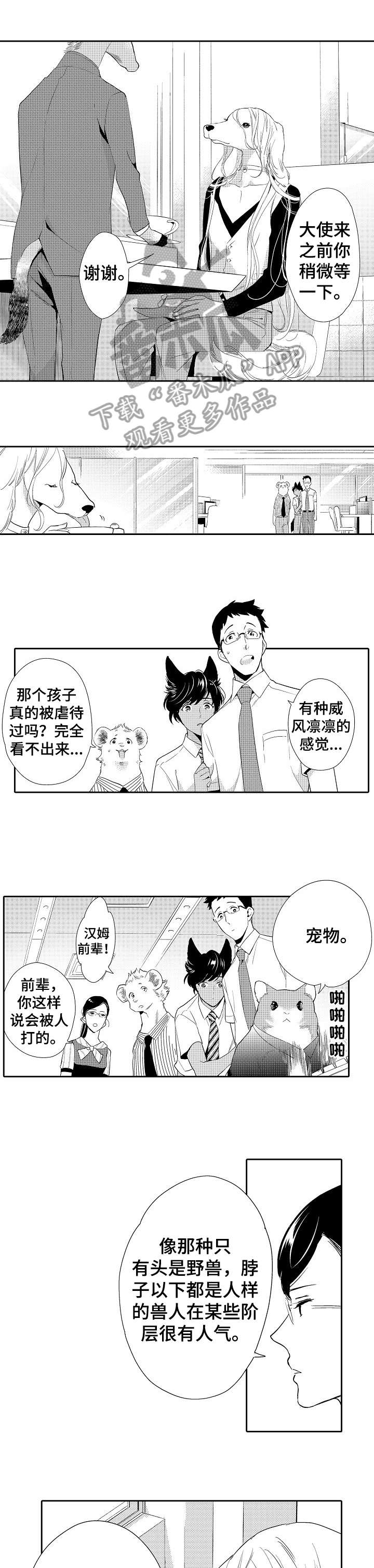他带来了光漫画,第13章：看穿1图