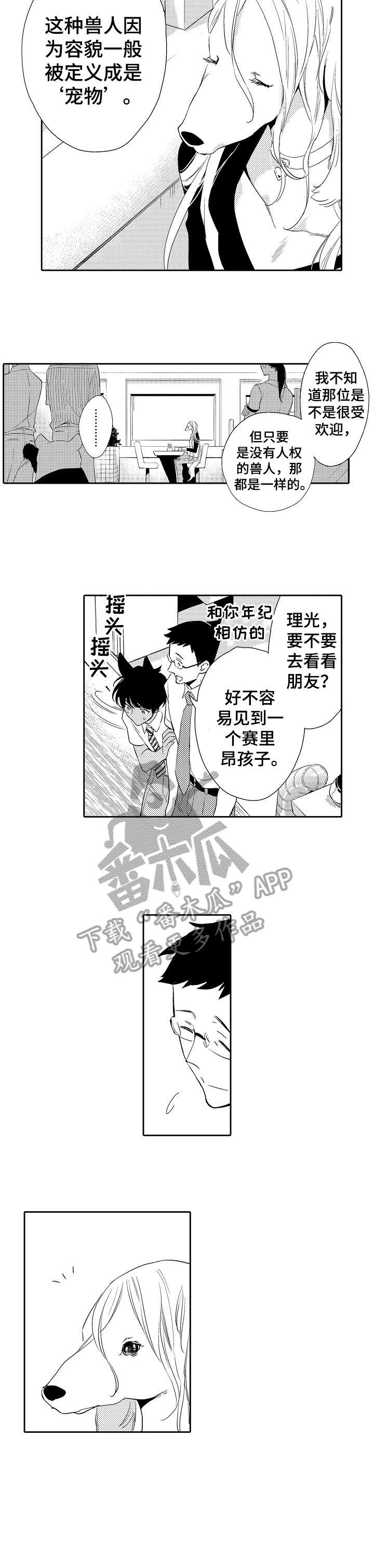 他带来了光漫画,第13章：看穿2图