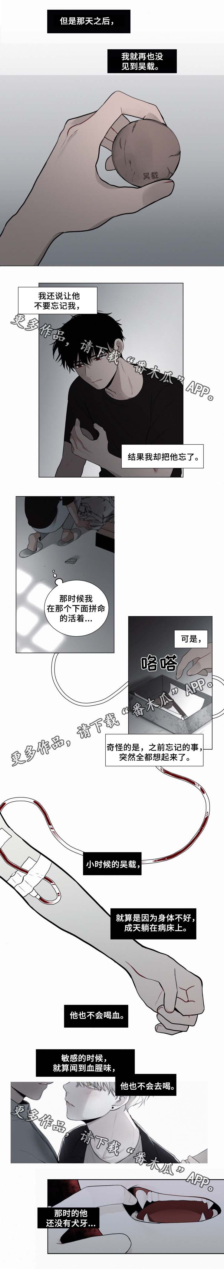 致命供养漫画,第47章：经历了什么4图